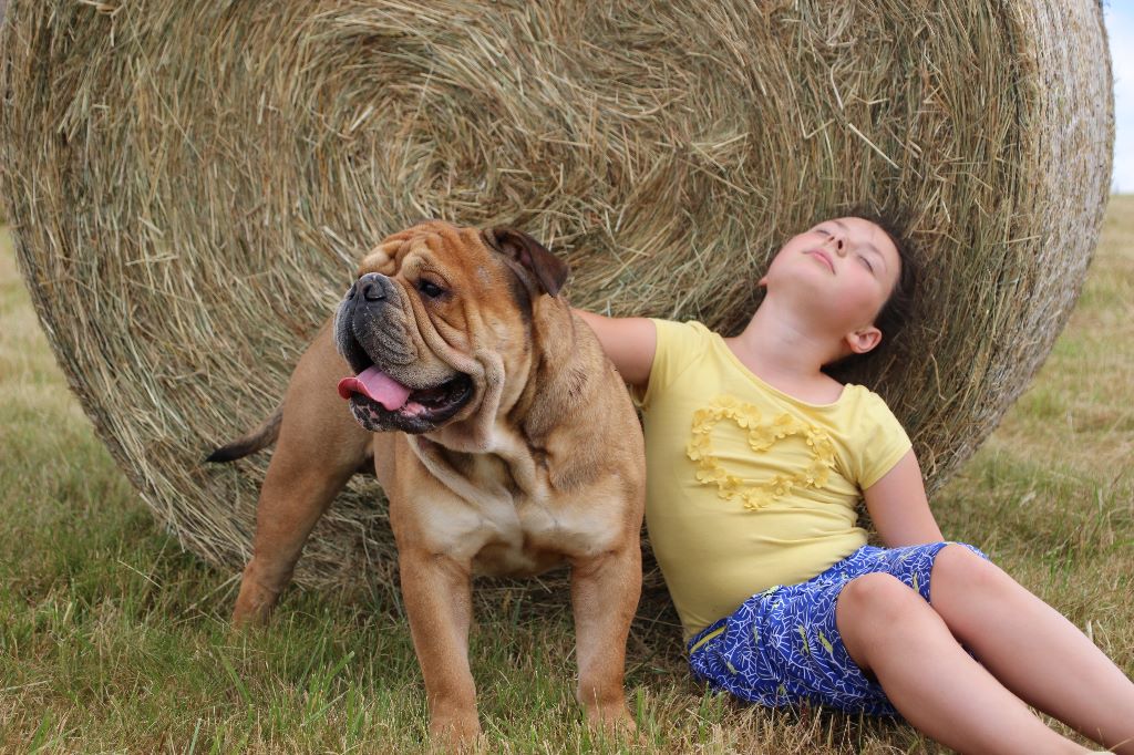 067cbeaa-af9c-f3f4-1997-aa22a9cb976b_min