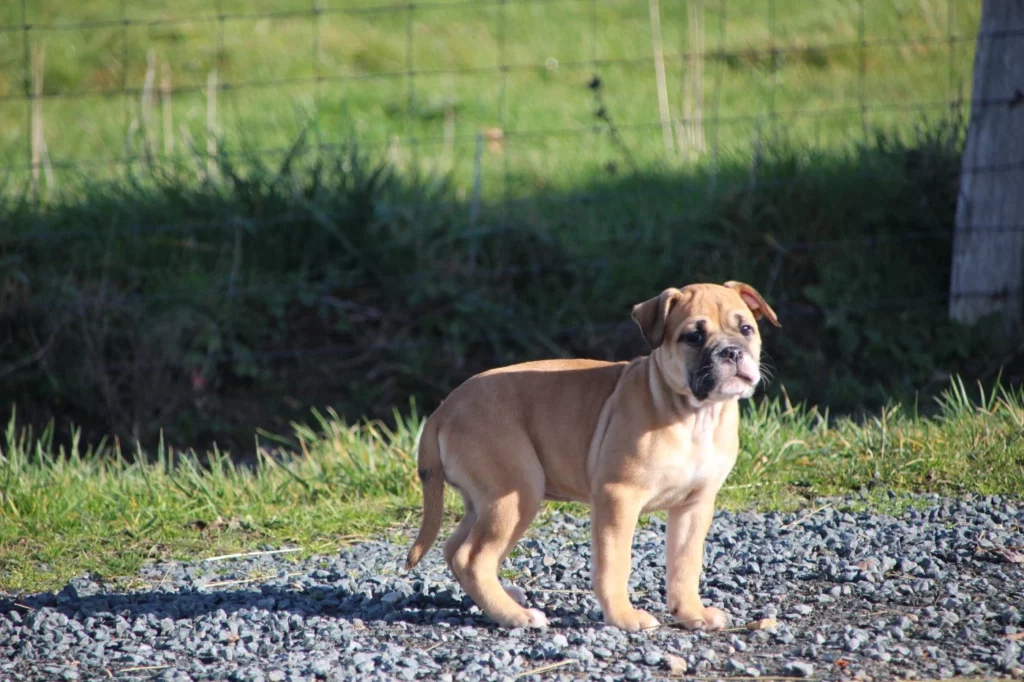 202602021542286980b7d4b1c40