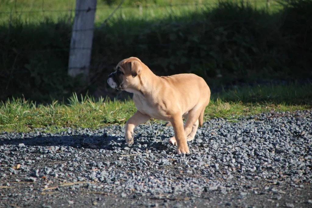 202602021542286980b7d4e0095