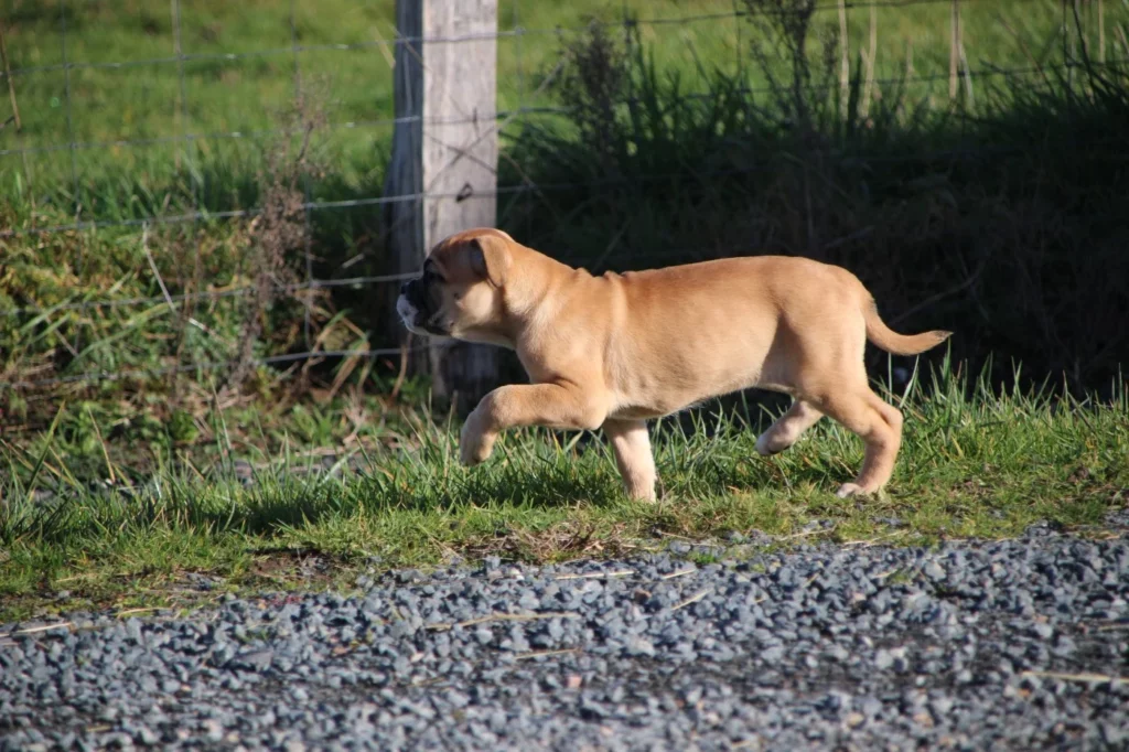 202602021542296980b7d51a3db