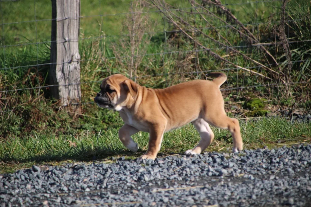 202602021544526980b864cebe1