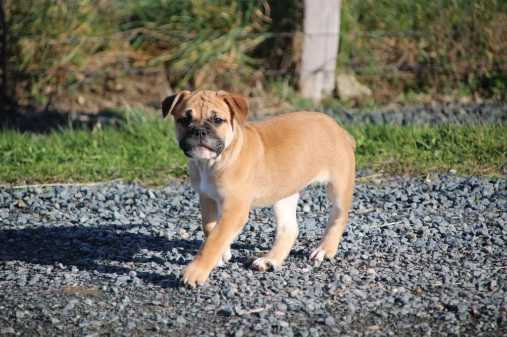 202602021544536980b8650b986