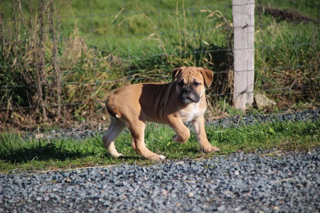 202602021544536980b8653b729