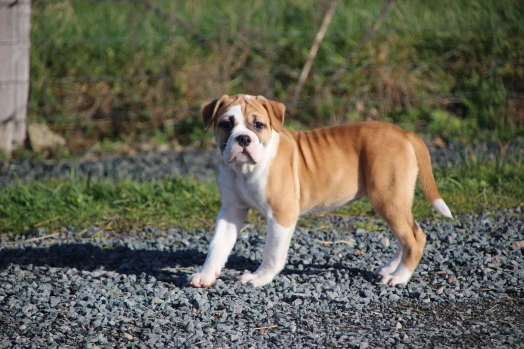 202602021547196980b8f72c6b3