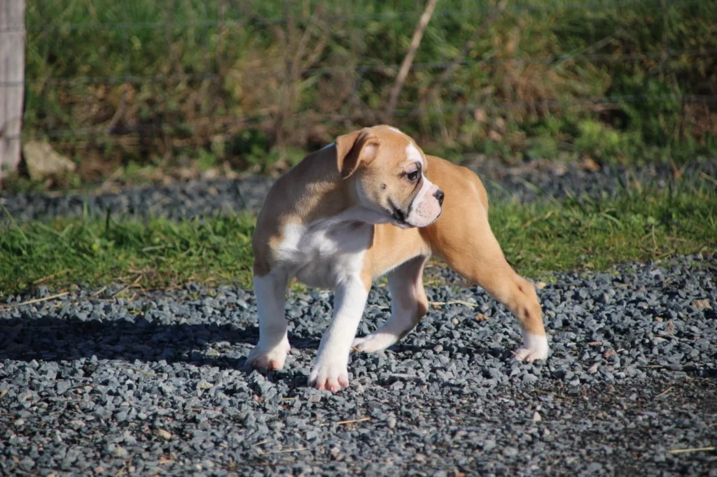 202602021547196980b8f75a2b5