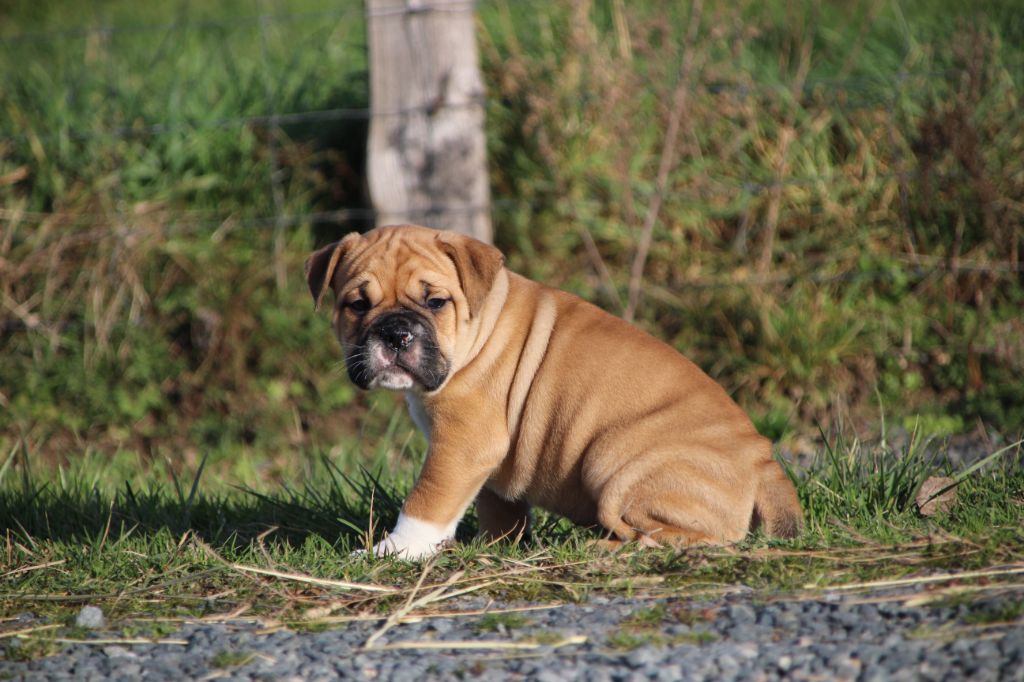 239fc66e-f8a2-e7b4-35c7-8fc8aa1f0e0d_min