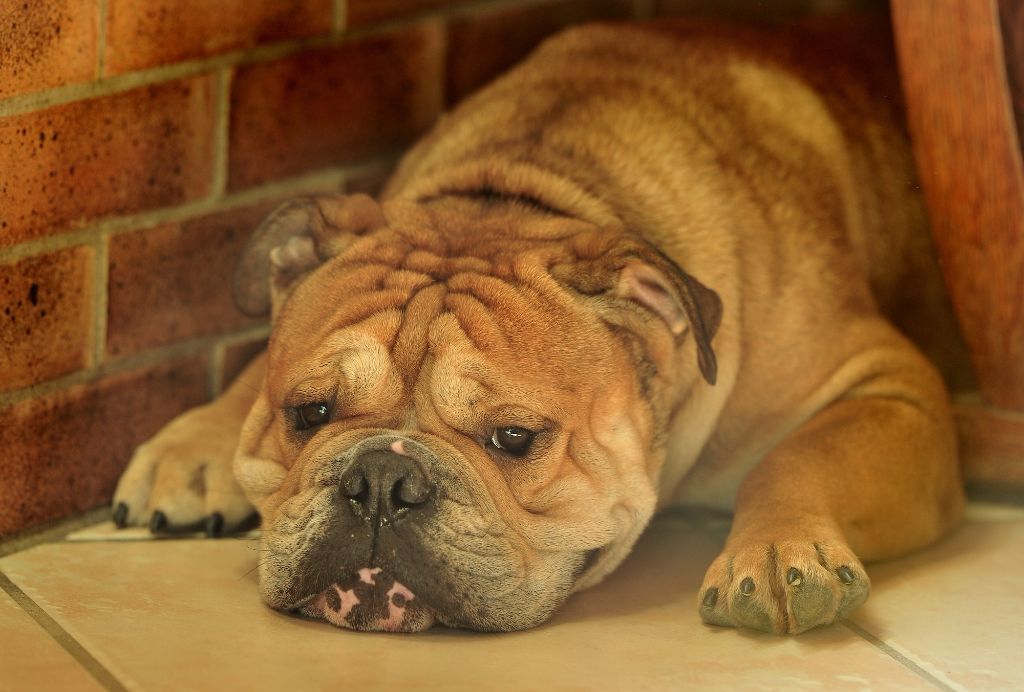 244f7884-ca5c-68b4-2d32-21bb862d4cef_min