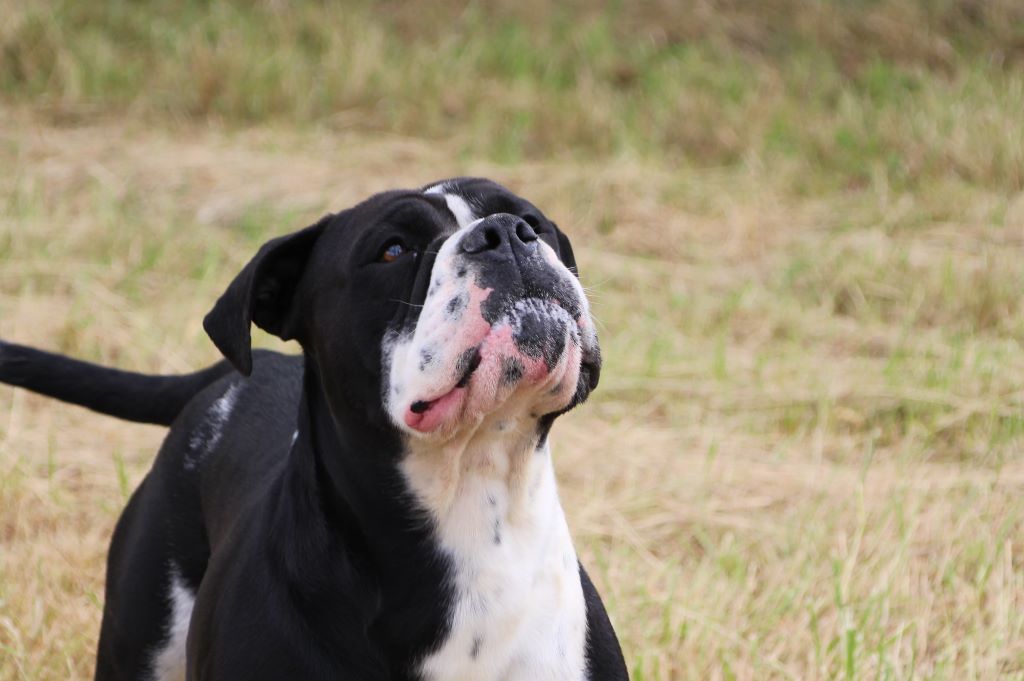 3bfe156b-ceab-a974-edb8-63997a3af7a3_min