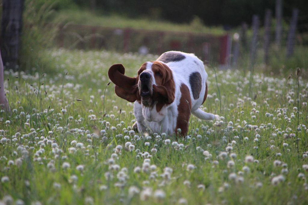 43251330-4198-0094-a96a-e563ab231d93_min