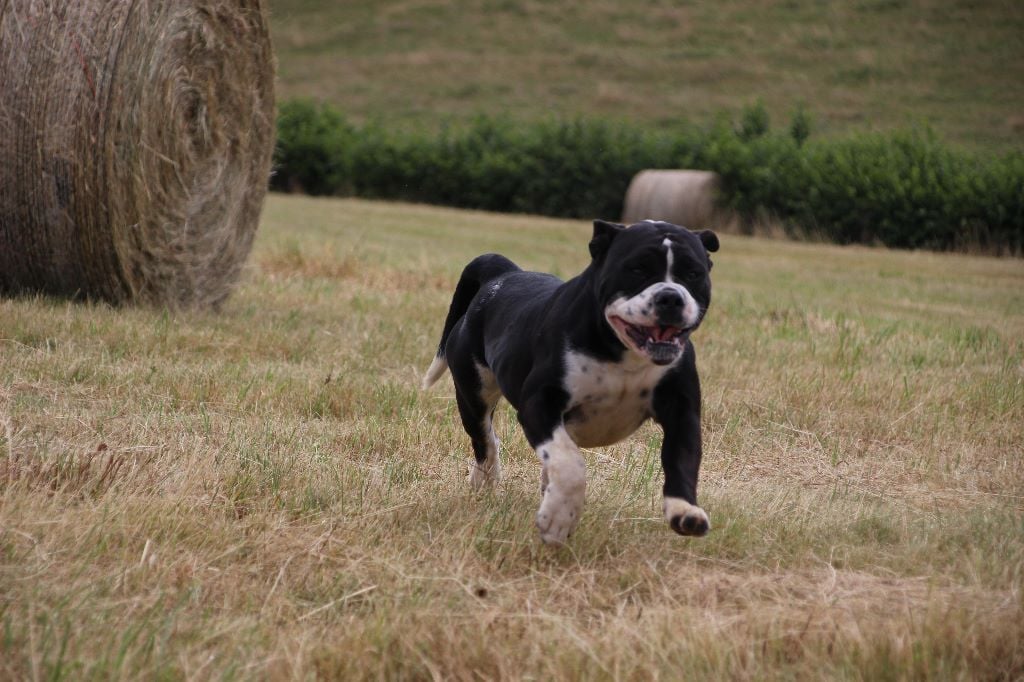 450b1a04-de87-68f4-15e3-a3c055002265_min