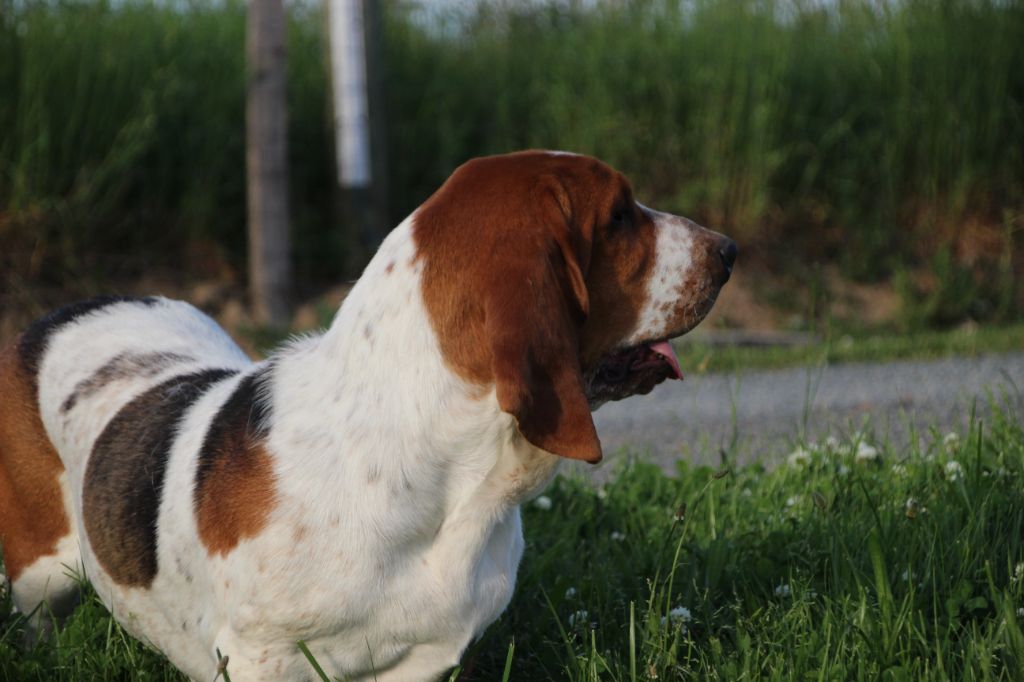 5116f9ce-382a-1aa4-71d8-f1265990811c_min