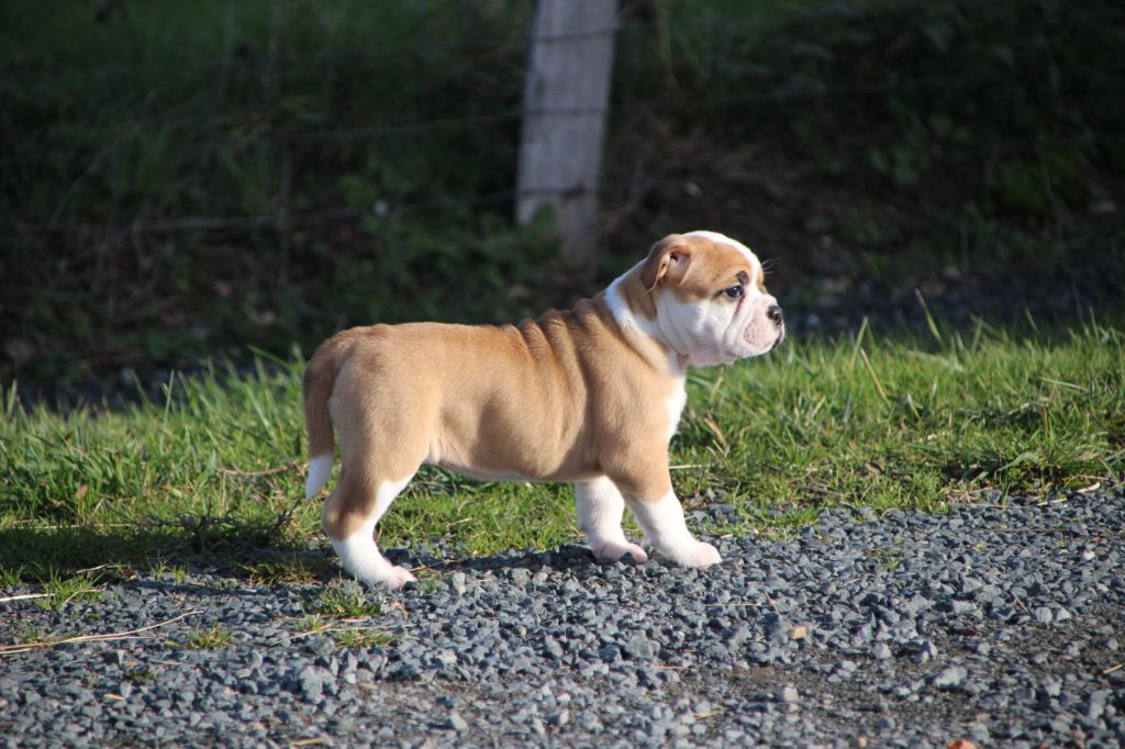 5c45d30a-92b2-f534-7da6-3de824a38d07_min