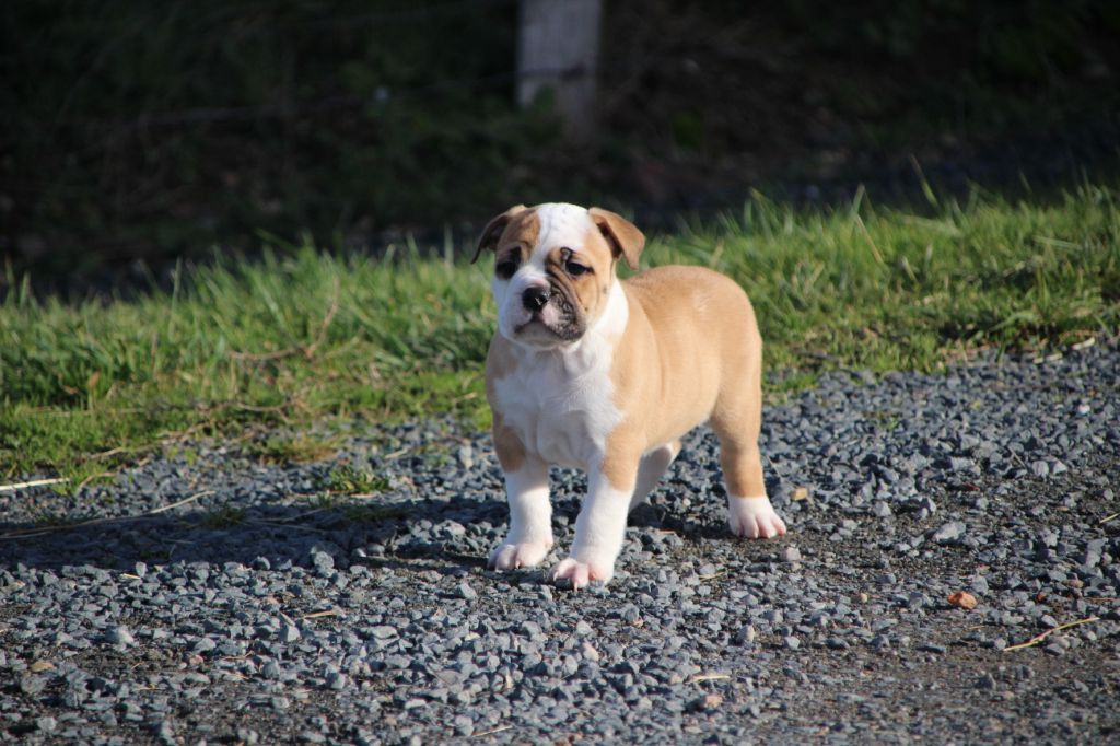 703f0f62-293f-a9d4-0968-dcfe6c272618_min