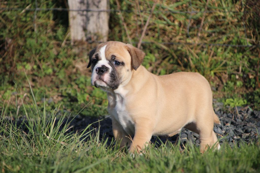 72efed7b-b457-44c4-053f-50082c53517b_min