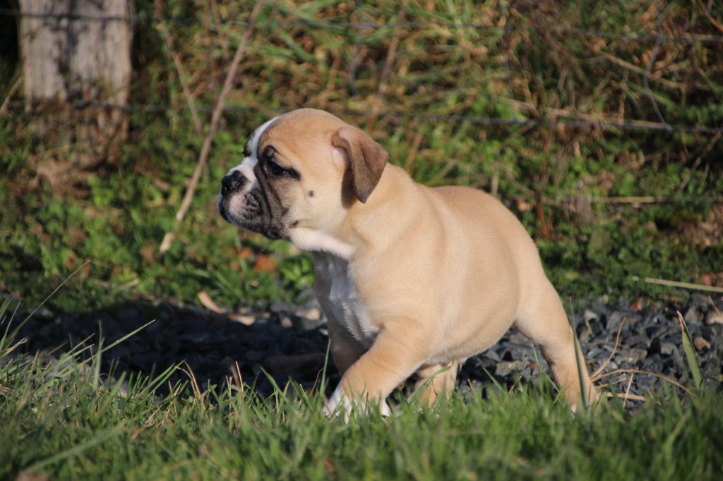 7c28f738-475a-0694-0197-13f473305ba2_min