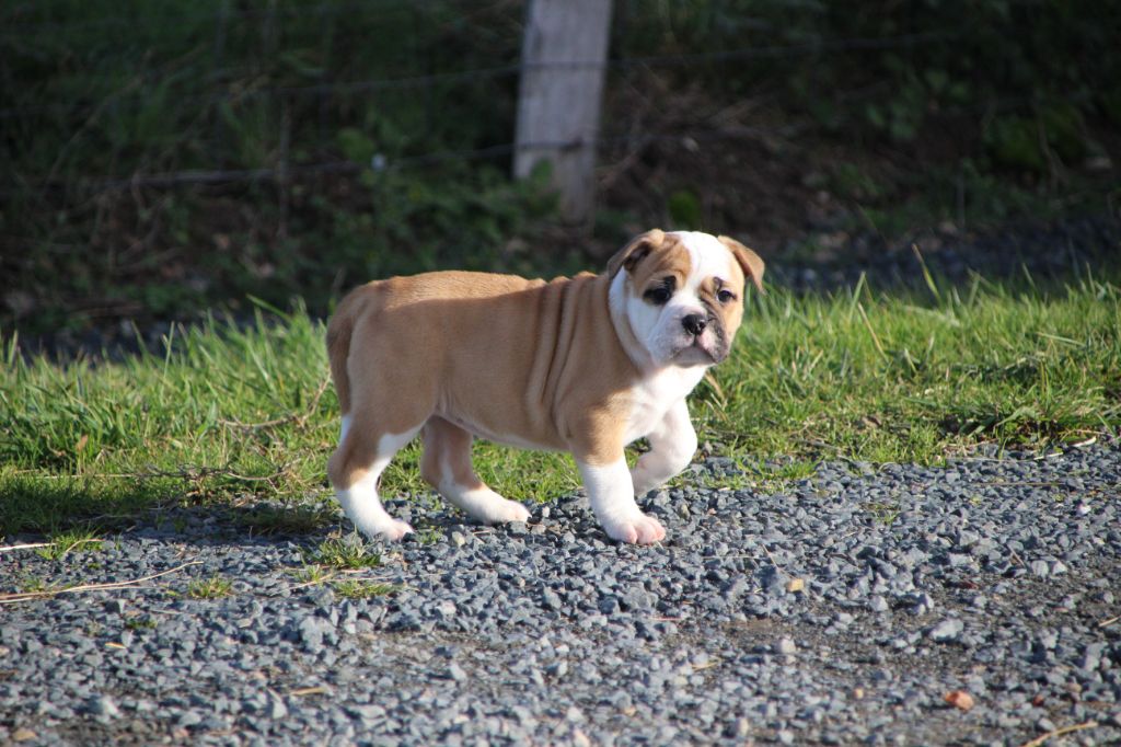 8067f4f0-5e34-1454-21ae-13aefc5868f1_min