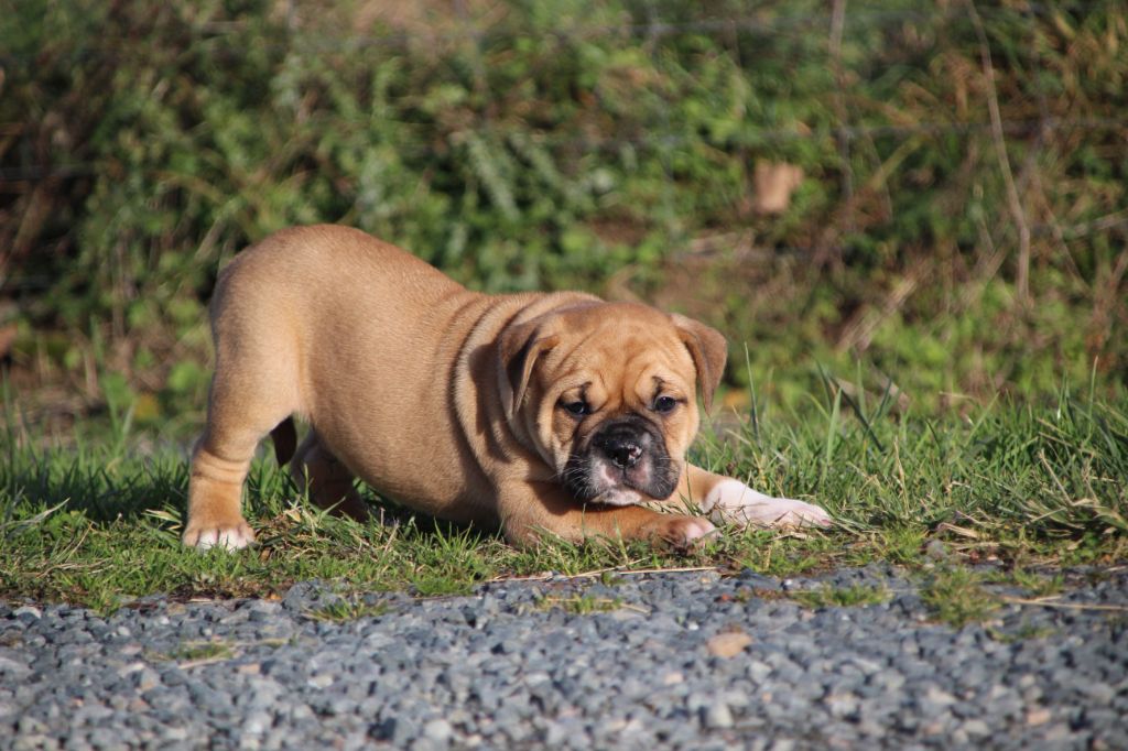 863c3639-d8ea-6ab4-f989-21c206ad5641_min