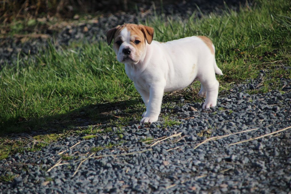 86ea79af-26ff-6614-0db0-b388311c5b50_min