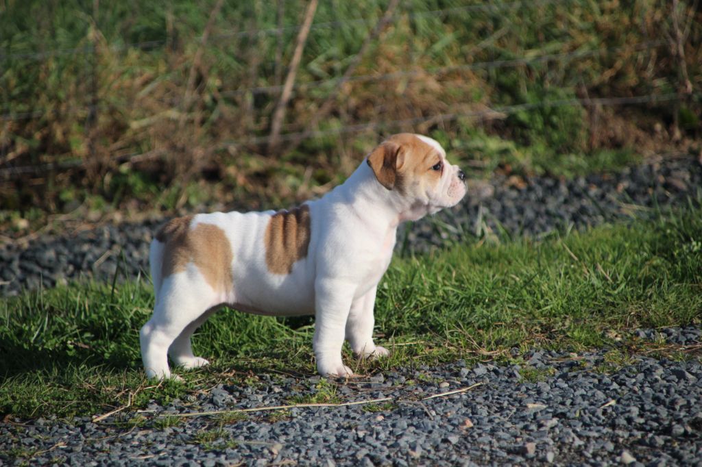 88610f25-e9d6-e844-dd44-abdb8760951f_min