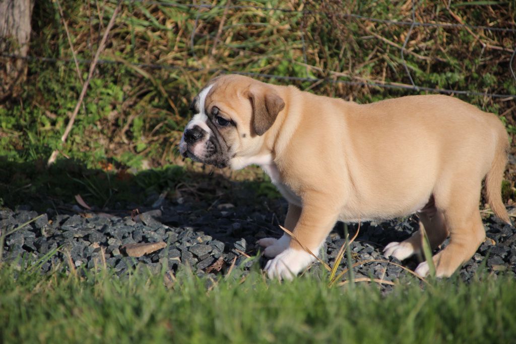 8d0bebcd-41a3-5be4-b92c-3ad42dbd16dc_min