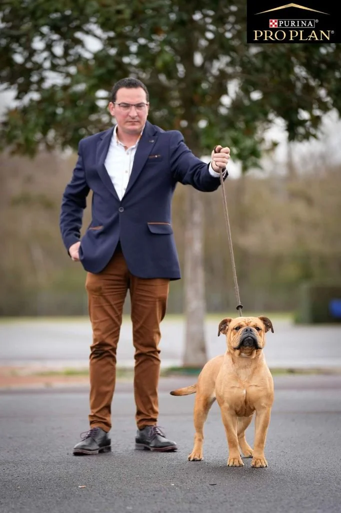 8d12b19b-ed00-0df4-e5ff-8ef99c8dacba_min