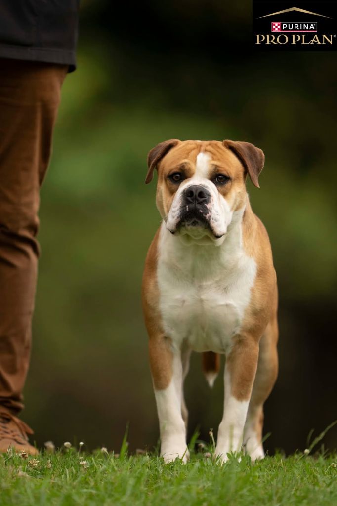 94a9ee07-a91a-a5f4-8d7f-06cb21dc149a_min