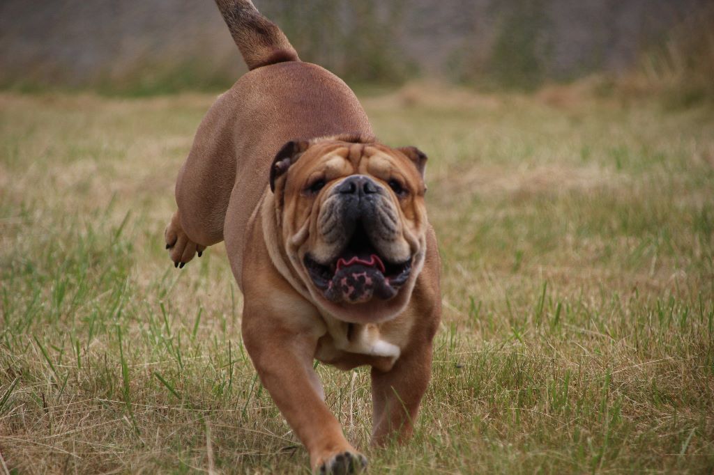 94dcbee7-ec07-25e4-55f9-536656c0f219_min