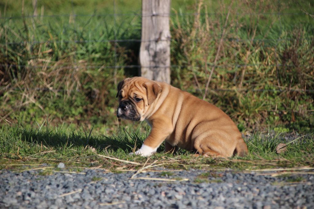 966c25d5-6c71-18f4-fd8d-ec9d73c0ef46_min