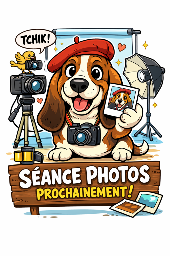 ChatGPT Image 23 févr. 2026, 17_14_51