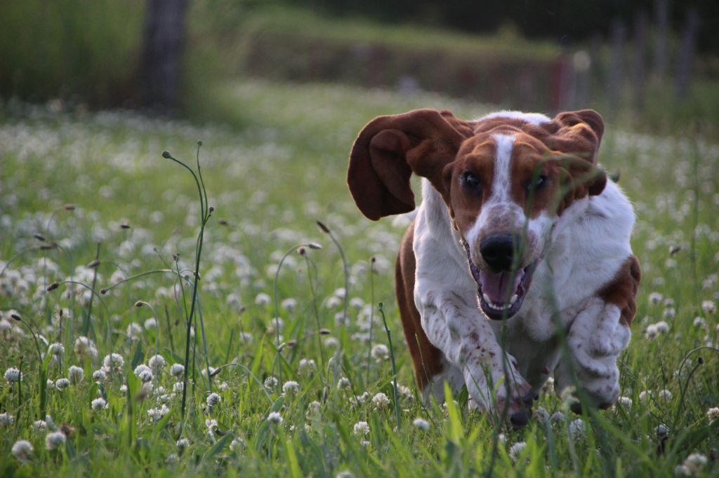 a86af522-ff52-38e4-b939-09c11d7278e1_min