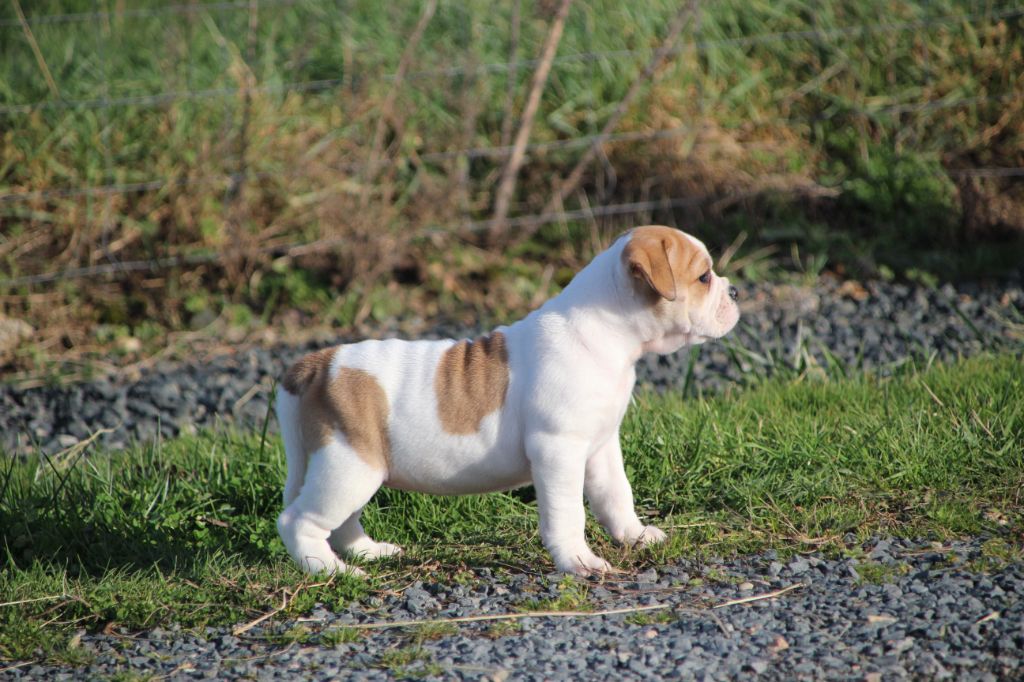 a98dd934-720e-ec24-e50a-32c8427f93f0_min