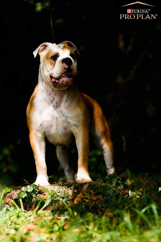 ab38ab71-e8d1-d414-2d77-9038df8c431f_min