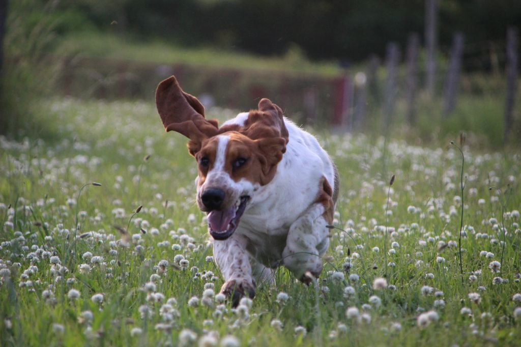 b253e6d3-c54f-87f4-896a-c5ca3ea65aa1_min