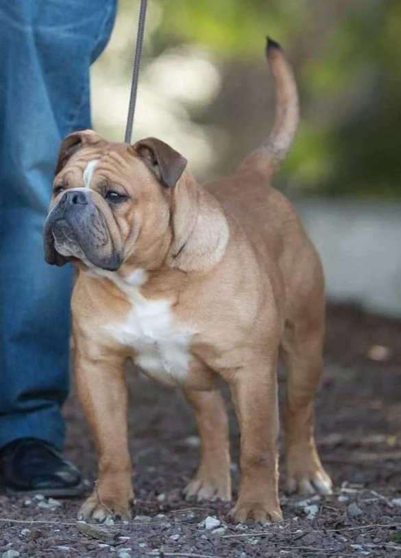 be2f821f-0e5c-ee84-3d66-1fe836095117_min