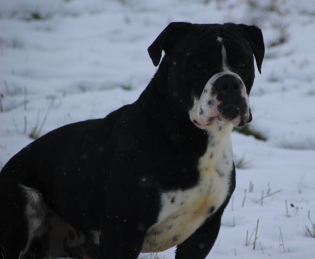 c7ab1635-99ac-bad4-71b2-72b8ddc33238_min