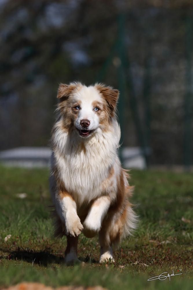 photo Reine nina ricci