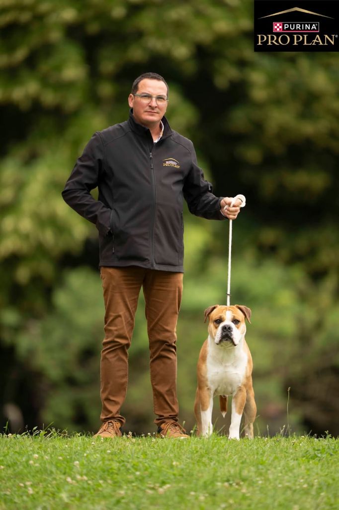 d227a757-4134-2ad4-f958-9b7b0b8248f5_min