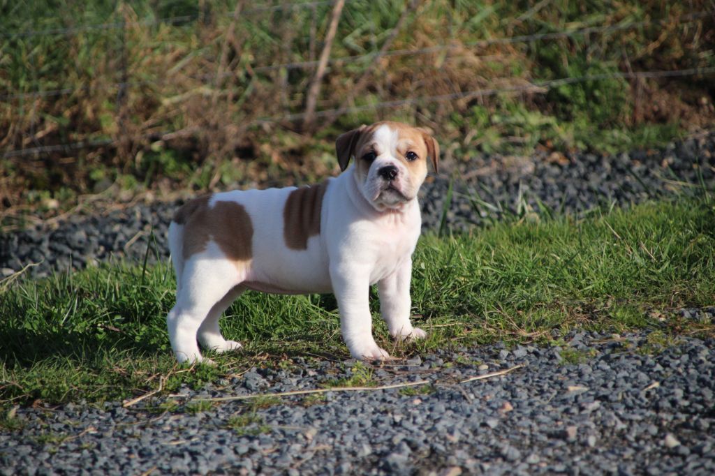 d396e09c-0bd8-ec84-f12c-715205be8bc2_min