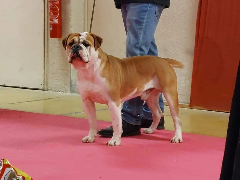 d3aeb0e3-d20e-fb54-9964-10a1e0ff2b24_min