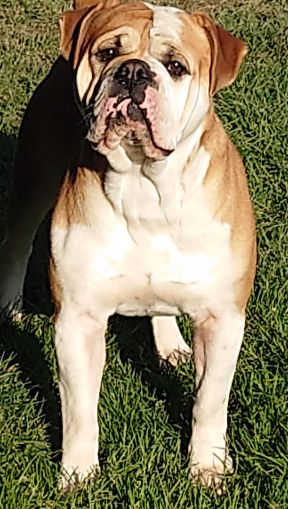 e3f9e408-62c1-8c44-b157-309f81ee18f4_min