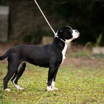 487826171_1034586662040246_6365441337396718214_n